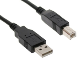 Custom America 977ZZ010000119 USB Printer Cable, 6 FT A TO B (POS-X RPCABLE-U2)