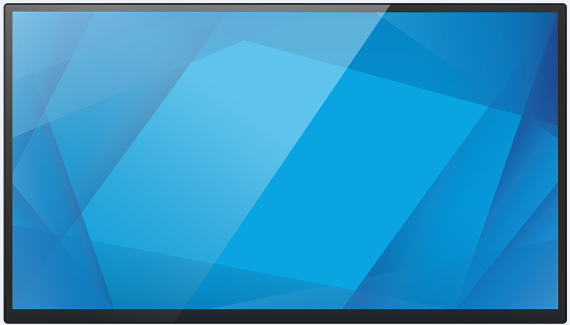 Elo 2210L Desktop Monitor