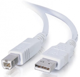 Epson CEPS-USB Cable, 10 Feet, USB A to B, Beige