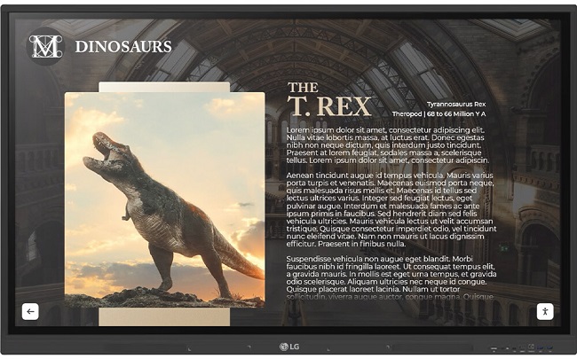 Museum exhibit touchscreen kiosk with digital artifacts, guided tours, and multimedia content.