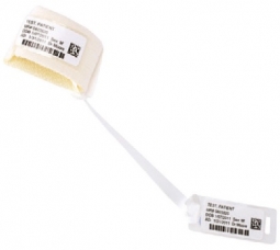 Zebra LB2-BABY-SWB9 Wristband, Tyvek, 9 X 0.4062IN (228.6X10.3MM), Swaddle Band, 500/Roll, 1 Roll